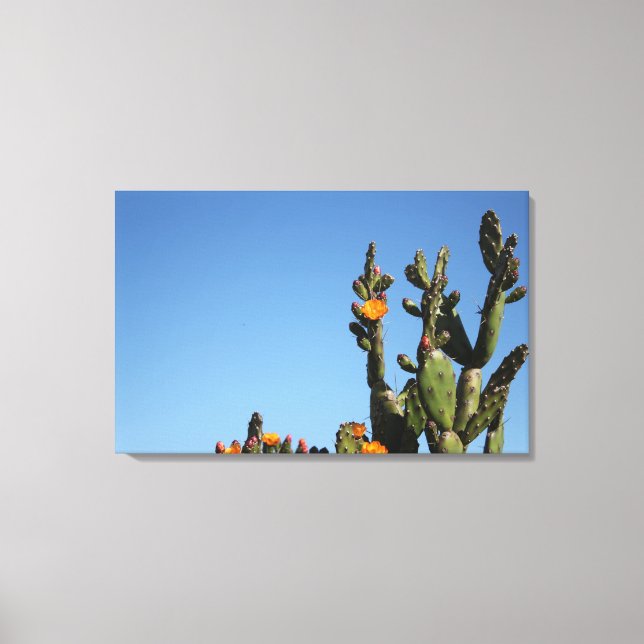 Blossoming Cactus Plant Stretched Canvas Print (Front)
