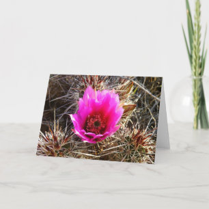 Blossoming Cactus (Prickly Pear) Wildflower Card