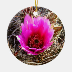 Blossoming Cactus (Prickly Pear) Wildflower Ceramic Tree Decoration