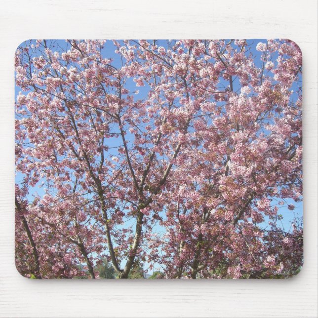 Blossoming Cherry Trees Mouse Mat (Front)