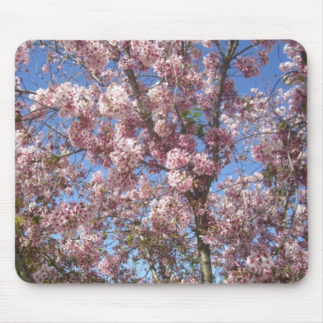 Blossoming Cherry Trees Mouse Mat (Front)