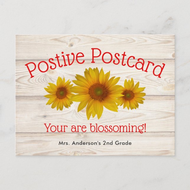 Blossoming Daisies | Positive School News Postcard (Front)