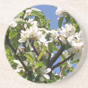 Blossoming Floral Branches-  Coaster