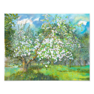 Blossoming garden photo print