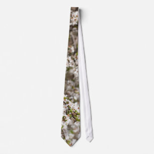Blossoming of cherry tree tie