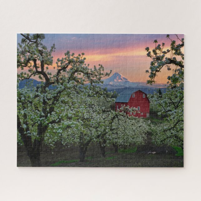 Blossoming Pear Orchard with Barn near Mount Hood Jigsaw Puzzle (Horizontal)