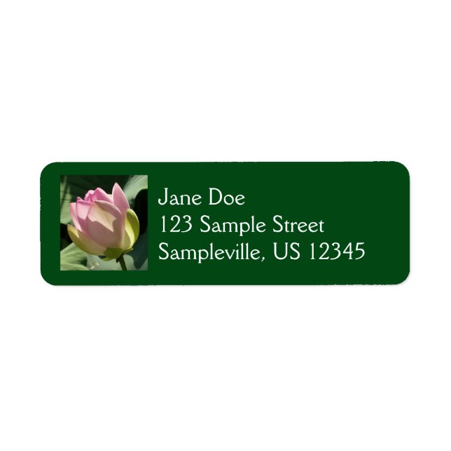 Blossoming Pink Lotus Flower Summer (Front)