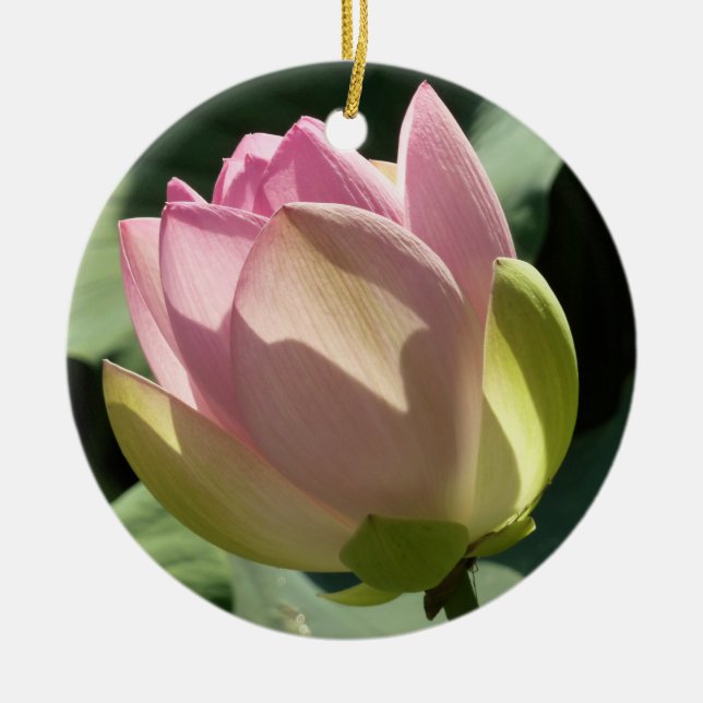 Blossoming Pink Lotus Flower Summer Ceramic Tree Decoration (Front)
