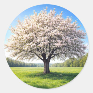 Blossoming Spring Apple Tree Classic Round Sticker