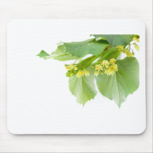 Blossoming twig of limetree or linden tree mouse mat