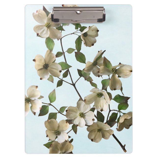 Blossoming White Dogwood Flowers Clipboard (Front)