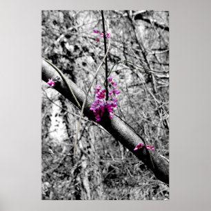 Blossoms 2 poster