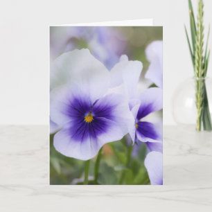 Blossoms Card