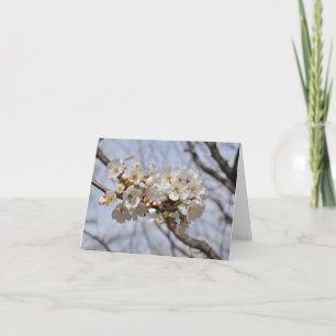 blossoms note card