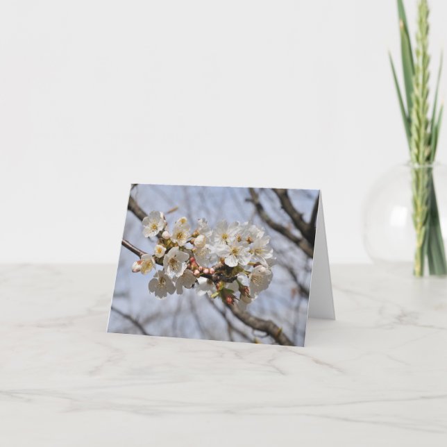 blossoms note card (Front)