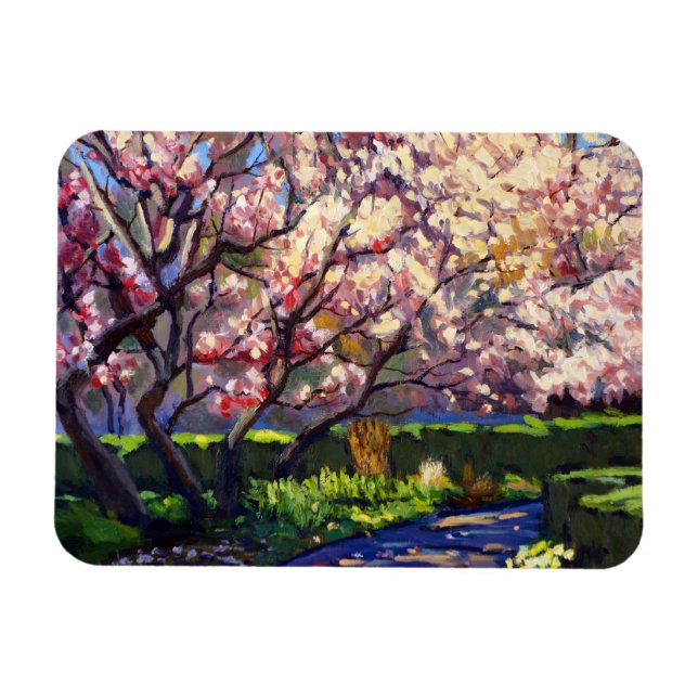 Blossoms of White Vivid Purples and Reds Magnet (Horizontal)