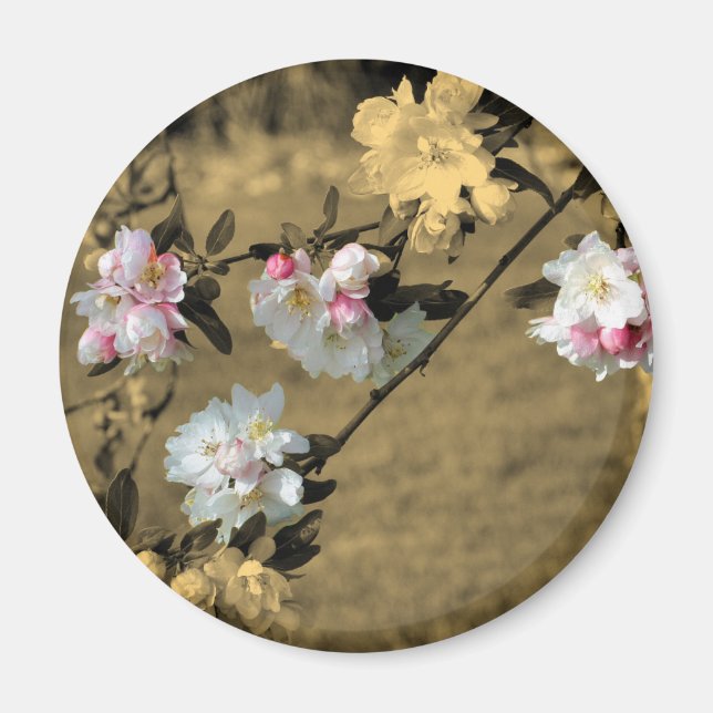 Blossoms On Sepia Flower Magnet (Front)