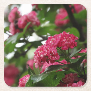 Blossoms Pink Floral Custom Square Coasters