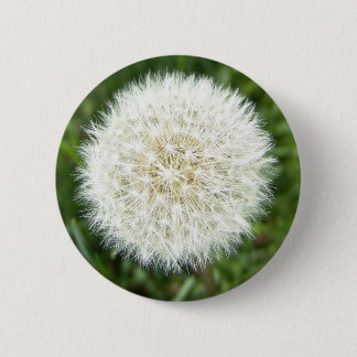 blow bull 6 cm round badge