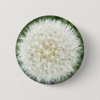 blow bull 6 cm round badge