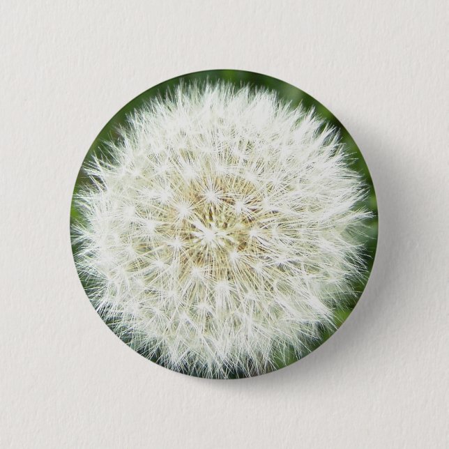 blow bull 6 cm round badge (Front)