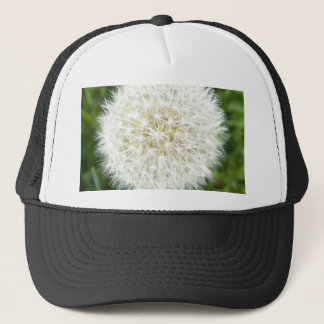 blow bull trucker hat