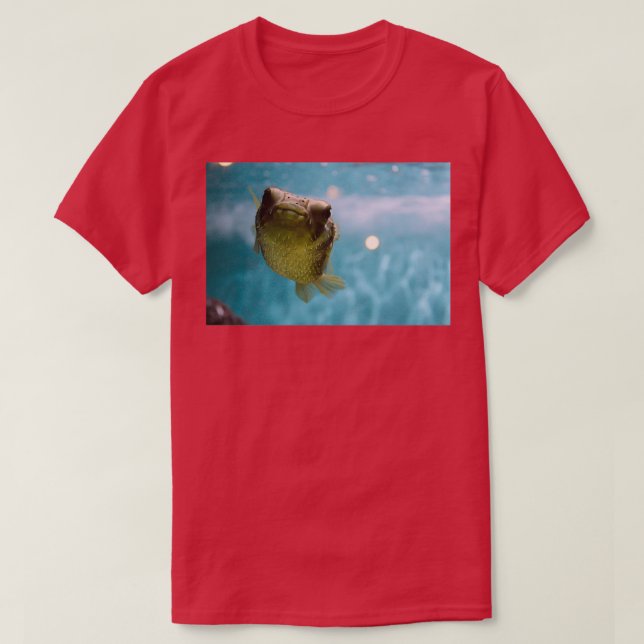 Blowfish Classic TShirt (Design Front)
