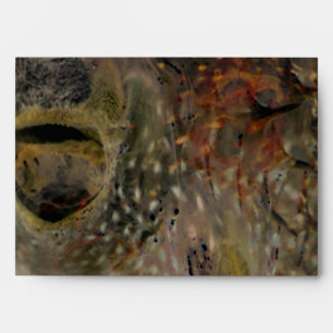 Blowfish Incident Envelope