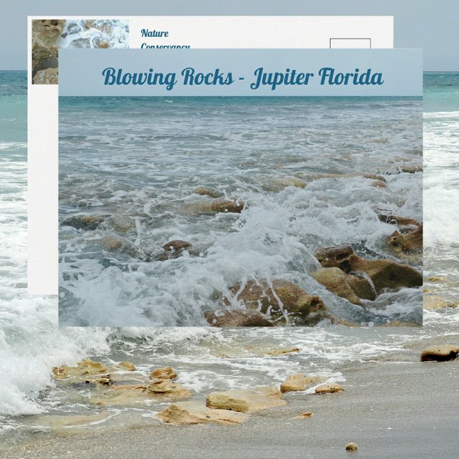 Blowing Rocks Jupiter Florida Postcard (Creator Uploaded)