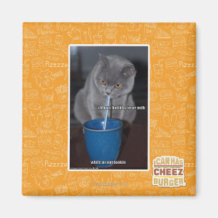 Blows Bubbles in ur milk Magnet