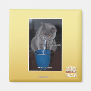 Blows Bubbles in ur milk Magnet