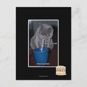 Blows Bubbles in ur milk Postcard