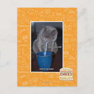 Blows Bubbles in ur milk Postcard