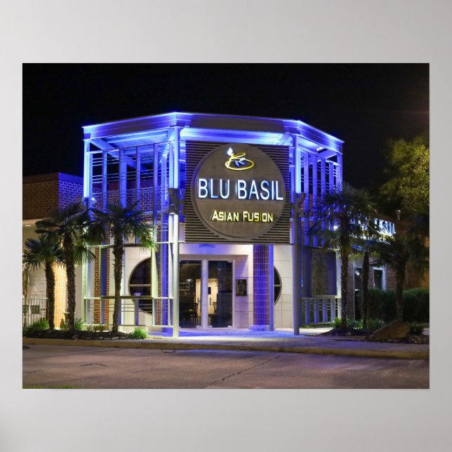 Blu Basil night shot Poster (Front)