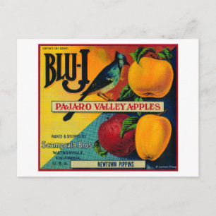 Blu-J Apple Crate LabelWatsonville, CA Postcard