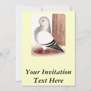 Blue African Owl Pigeon Invitation