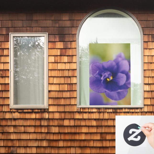 Blue African Violet Saintpaulia Window Cling (Home Window)