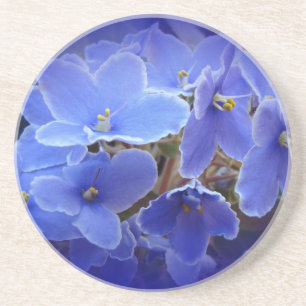 Blue African Violets Coaster