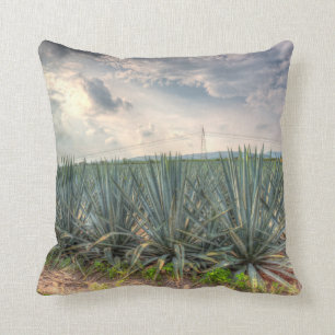 Blue Agave Cushion