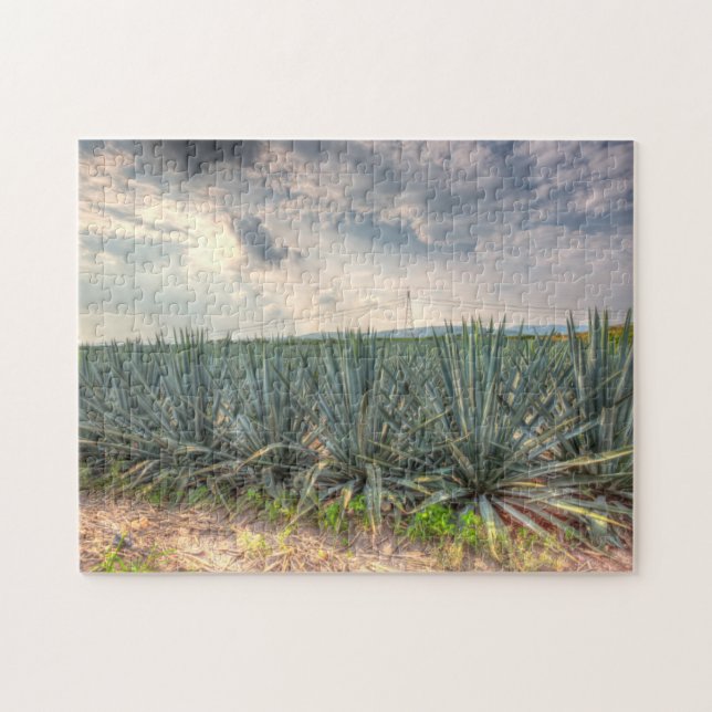 Blue Agave Jigsaw Puzzle (Horizontal)