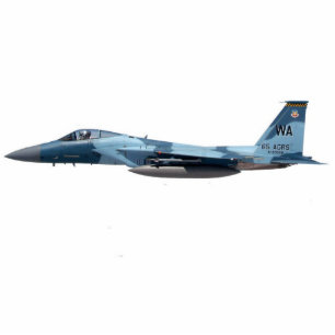 Blue Aggressor F-15 Eagle Standing Photo Sculpture