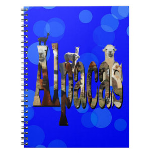 Blue Alpaca Logo Name With Alpacas,  Notebook
