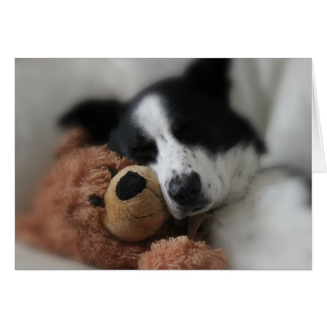 Blue and Bear (Front Horizontal)