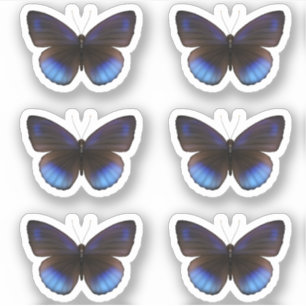 Blue and Black Butterfly Sticker pack Wedding