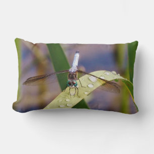 Blue and black dragonfly lumbar cushion