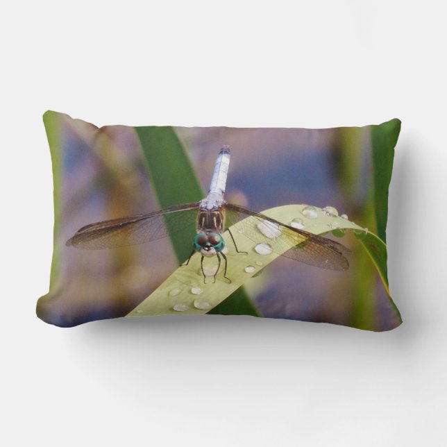 Blue and black dragonfly lumbar cushion (Front)