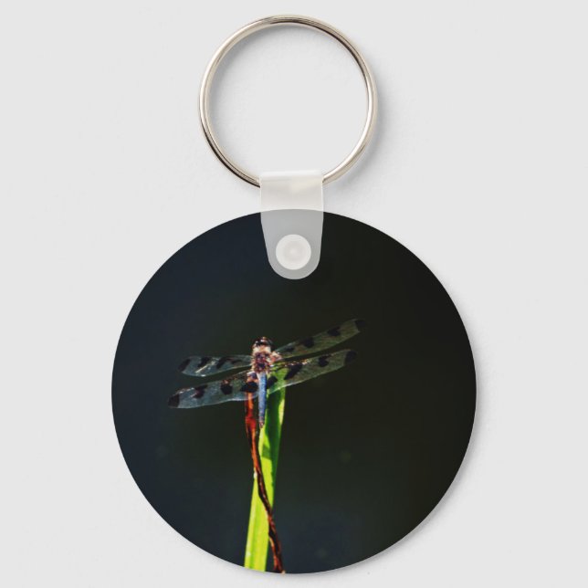 Blue and black  Dragonfly on green and red grass Key Ring (Front)