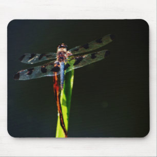 Blue and black Dragonfly on green and red grass Mouse Mat