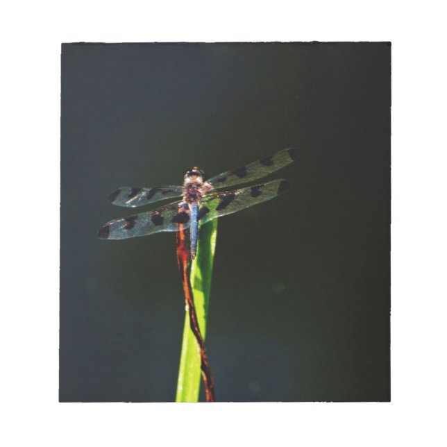 Blue and black  Dragonfly on green and red grass Notepad (Front)