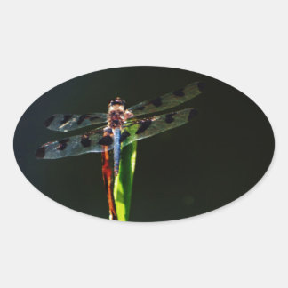 Blue and black Dragonfly on green and red grass Oval Sticker